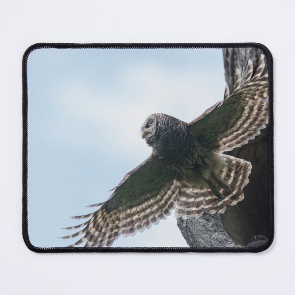 Item preview, Spreading My Wings designed and sold by Puttaswamy Ravishankar.