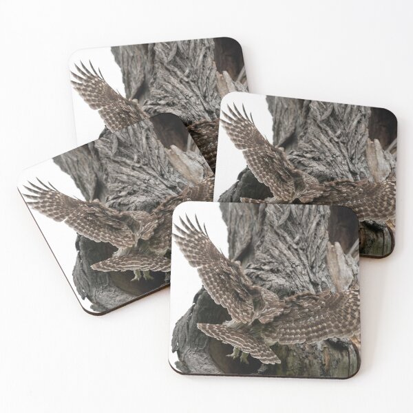 Item preview, Mama Barred Owl Rushing to Feed its babies designed and sold by Puttaswamy Ravishankar.