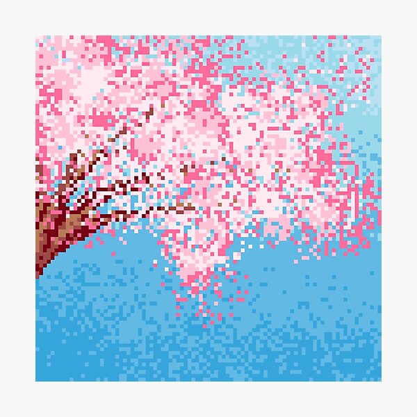 Pixel Sakura / Cherry Blossom Photographic Print