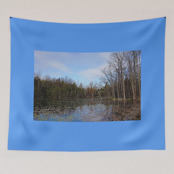 Item preview, Morning Spring Pond designed and sold by Debbie Oppermann.