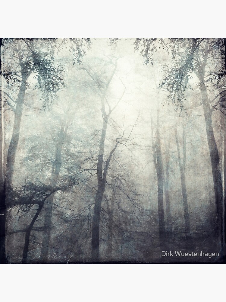 Twisted - Foggy Woods by DyrkWyst