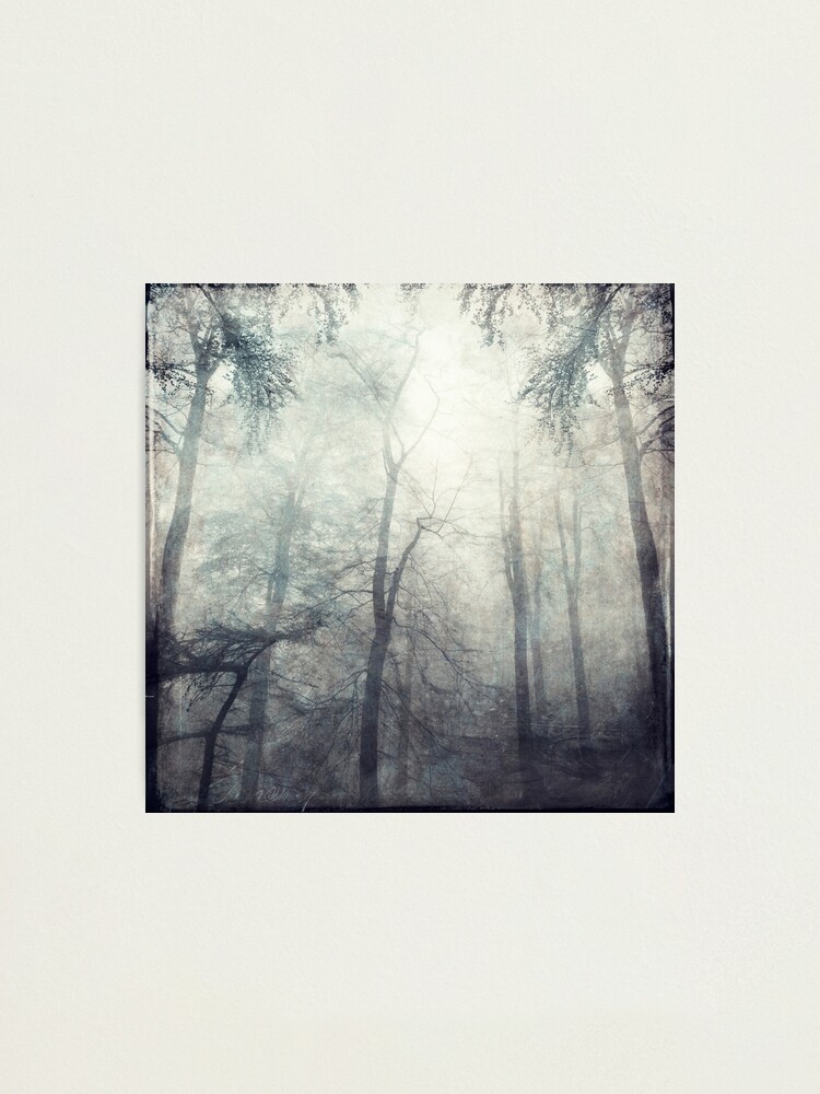 Alternate view of Twisted - Foggy Woods Photographic Print