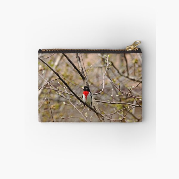Item preview, Spring Grosbeak designed and sold by Debbie Oppermann.