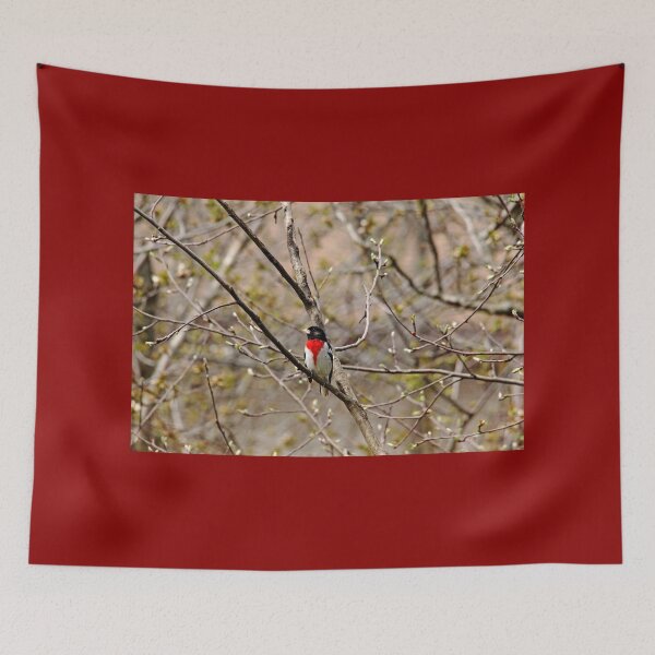 Item preview, Spring Grosbeak designed and sold by Debbie Oppermann.