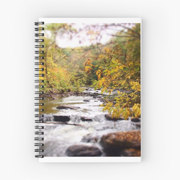 Item preview, Ralph Stover Park, PA photo #1 designed and sold by HelenPDesigns.