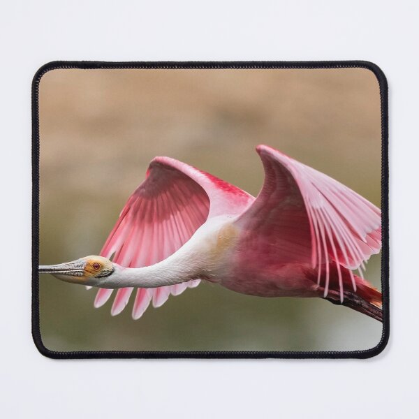 Item preview, Quest for Nest Material designed and sold by Puttaswamy Ravishankar.