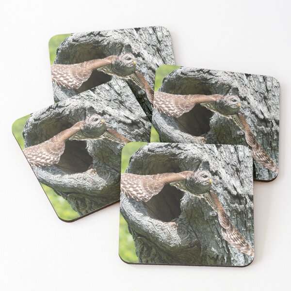 Item preview, Flight Pattern designed and sold by Puttaswamy Ravishankar.