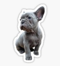bulldog Sticker