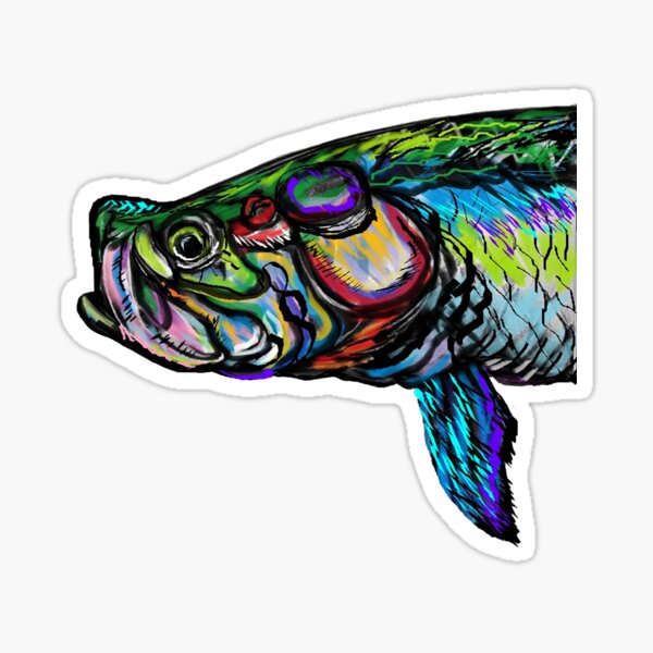 Largemouth Bass Stickers for Sale, Free US Shipping