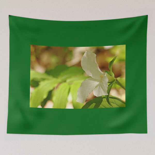 Item preview, White Trillium designed and sold by Debbie Oppermann.
