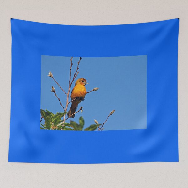 Item preview, Female Baltimore Oriole designed and sold by Debbie Oppermann.