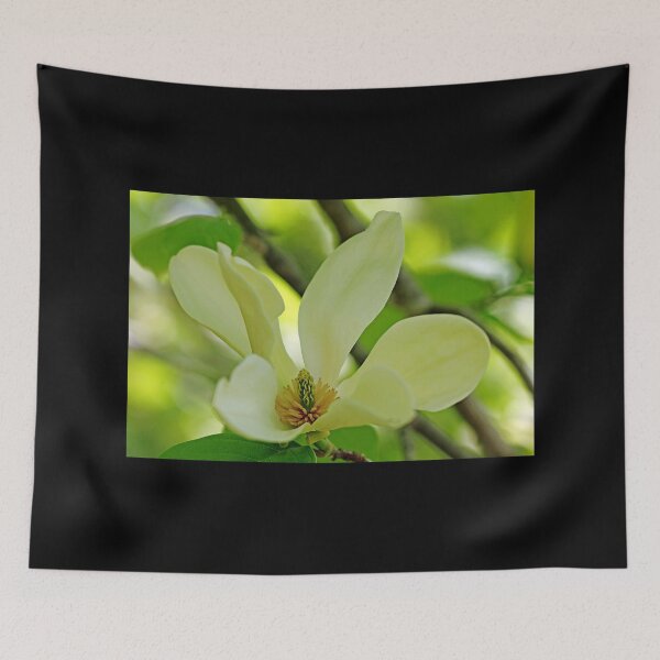Item preview, Magnolia Bloom designed and sold by Debbie Oppermann.