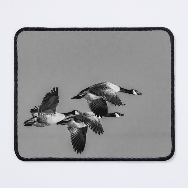 Item preview, Flying Home designed and sold by Darren Wilkes.