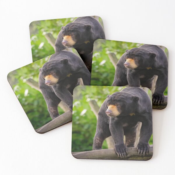 Item preview, Asian Sun Bear designed and sold by Darren Wilkes.