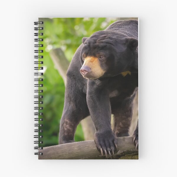 Item preview, Asian Sun Bear designed and sold by Darren Wilkes.