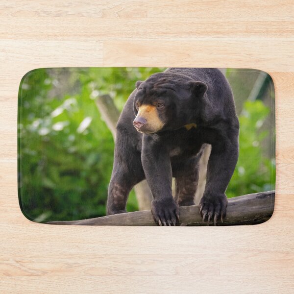 Item preview, Asian Sun Bear designed and sold by Darren Wilkes.