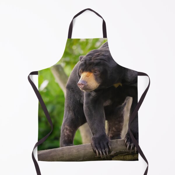 Item preview, Asian Sun Bear designed and sold by Darren Wilkes.
