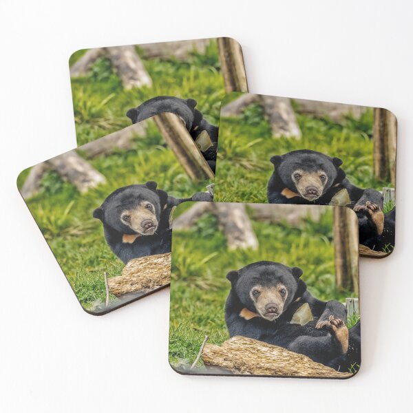 Item preview, Sun Bear Cub designed and sold by Darren Wilkes.