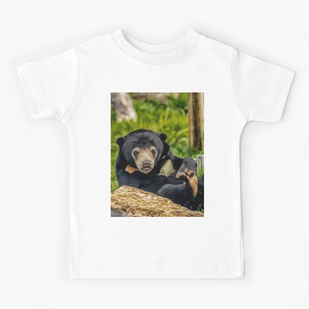 Sun bear hot sale t shirt