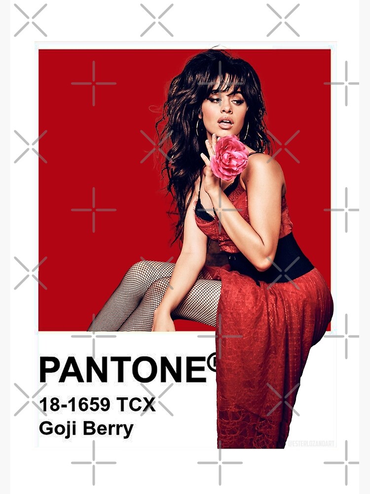 Discover Pantone Project x Goji Berry Premium Matte Vertical Poster