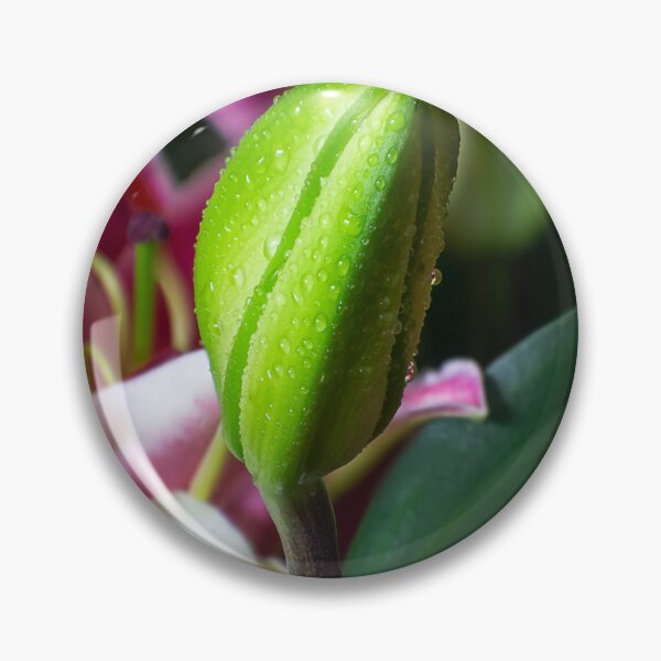 Item preview, flower bud portrait designed and sold by likbatonboot.