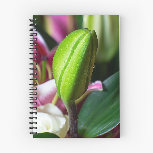 Item preview, flower bud portrait designed and sold by likbatonboot.