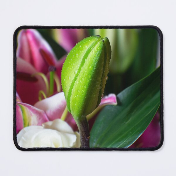 Item preview, flower bud portrait designed and sold by likbatonboot.