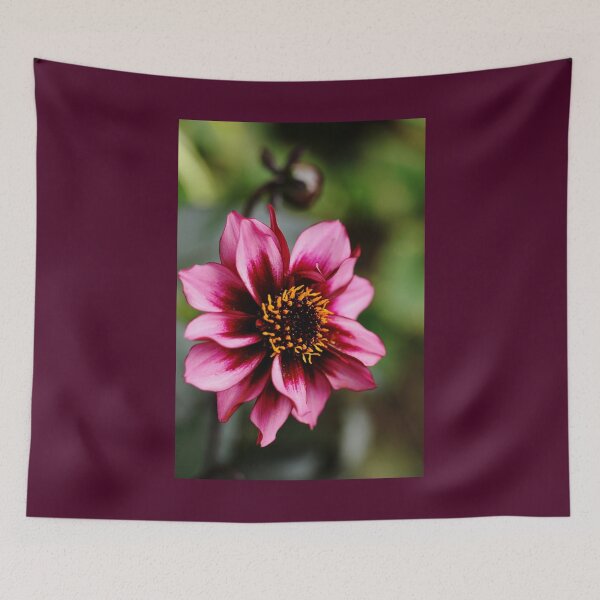 Item preview, Dreamy Nights designed and sold by Debbie Oppermann.