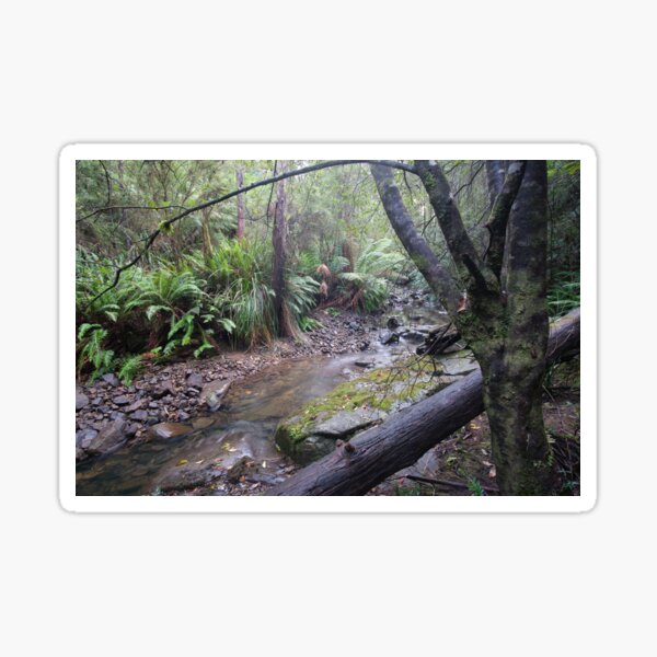 A Calming Moment at Sandspit River #3 Sticker