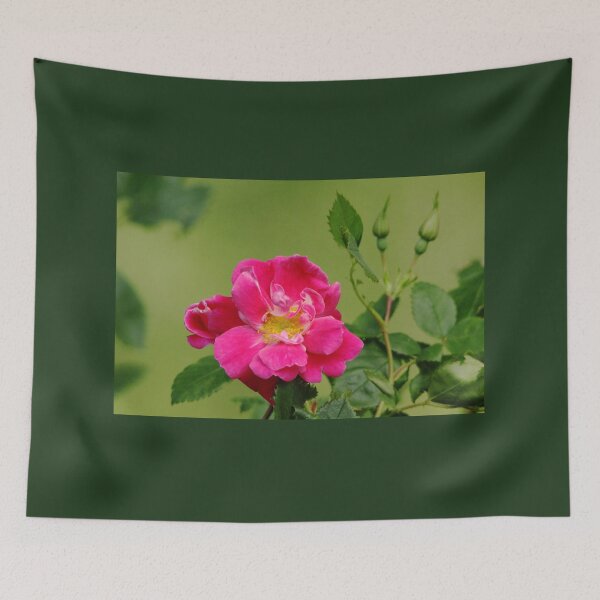 Item preview, Pink Garden Rose designed and sold by Debbie Oppermann.