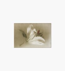 Lily Lustre Art Board