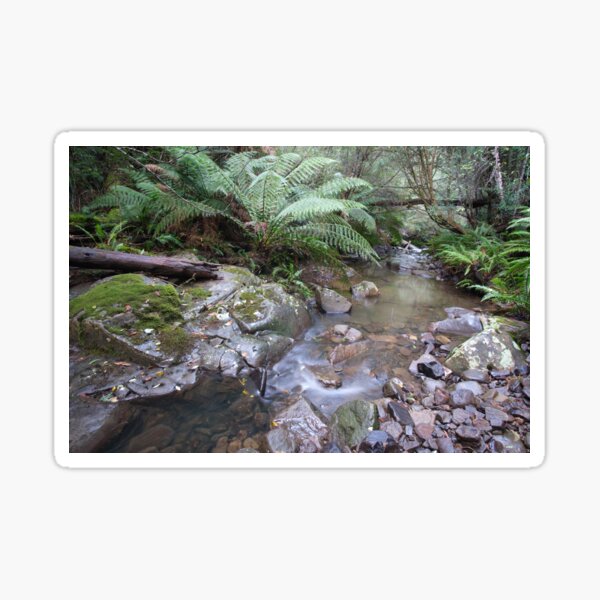 A Calming Moment at Sandspit River #4 Sticker