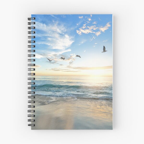 Aperçu de l'œuvre Oiseaux de mer créée et vendue par DanDesignn.
