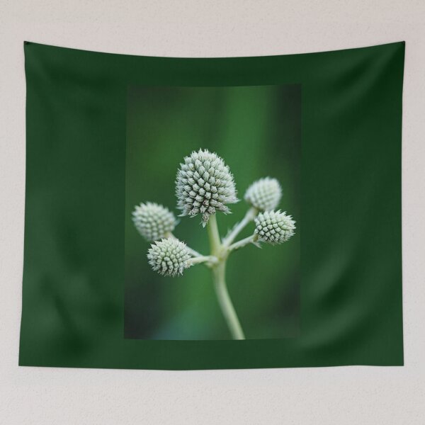 Item preview, Rattlesnake Master designed and sold by Debbie Oppermann.