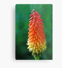 The Flame Metal Print