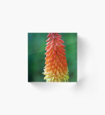 The Flame Acrylic Block