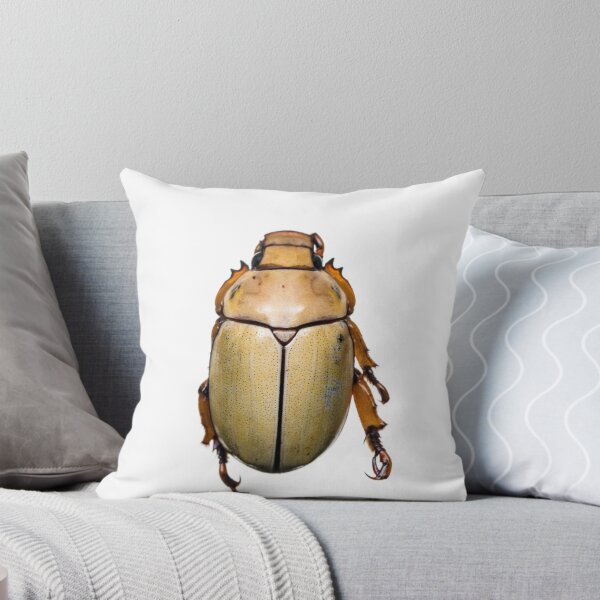 Item preview, Phalangogonia sperata (Scarabaeidae Rutelinae) designed and sold by ArthroLove.