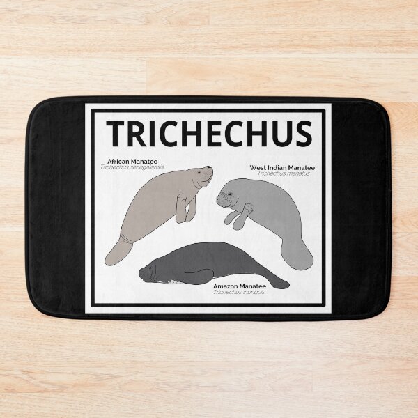 Item preview, Genus Trichechus (Manatees) designed and sold by taylorrowan.