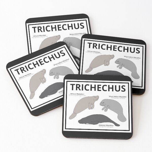 Item preview, Genus Trichechus (Manatees) designed and sold by taylorrowan.