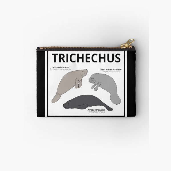 Item preview, Genus Trichechus (Manatees) designed and sold by taylorrowan.
