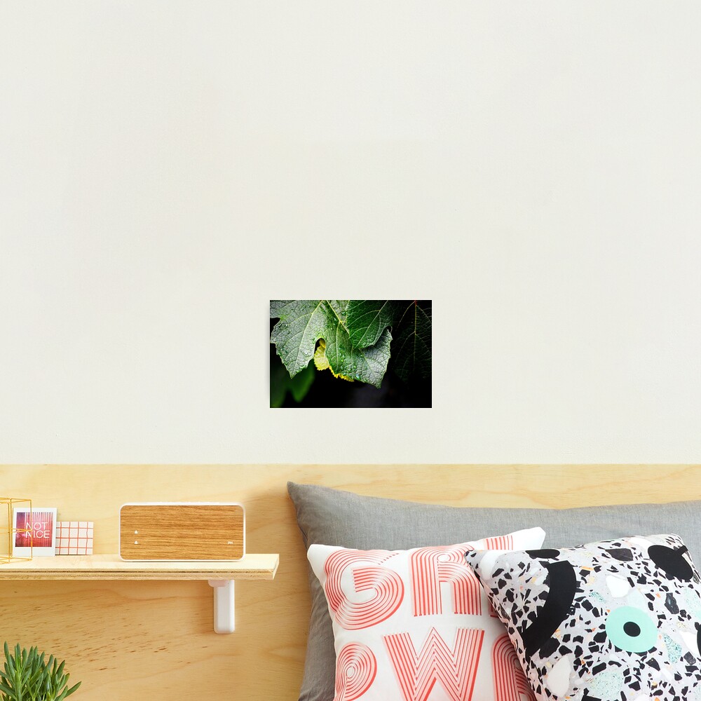 Item preview, Photographic Print designed and sold by Nikopol.