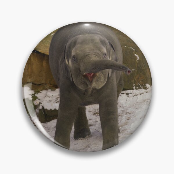 Item preview, Trumpeting Baby Elephant In The Snow designed and sold by rawshutterbug.