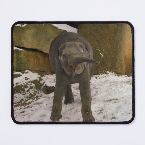 Item preview, Trumpeting Baby Elephant In The Snow designed and sold by rawshutterbug.