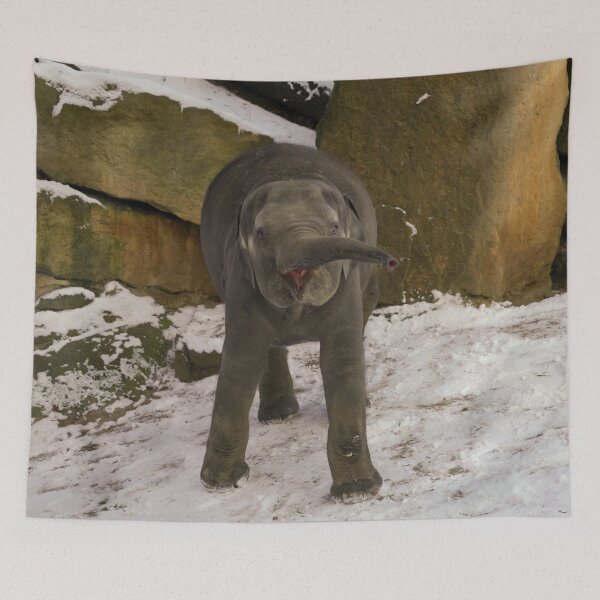 Item preview, Trumpeting Baby Elephant In The Snow designed and sold by rawshutterbug.
