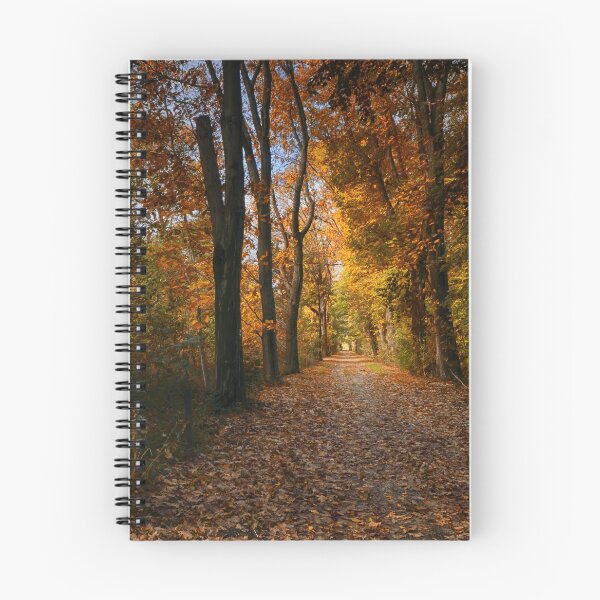 Item preview, Allee im Herbst designed and sold by Stefan Kierek.