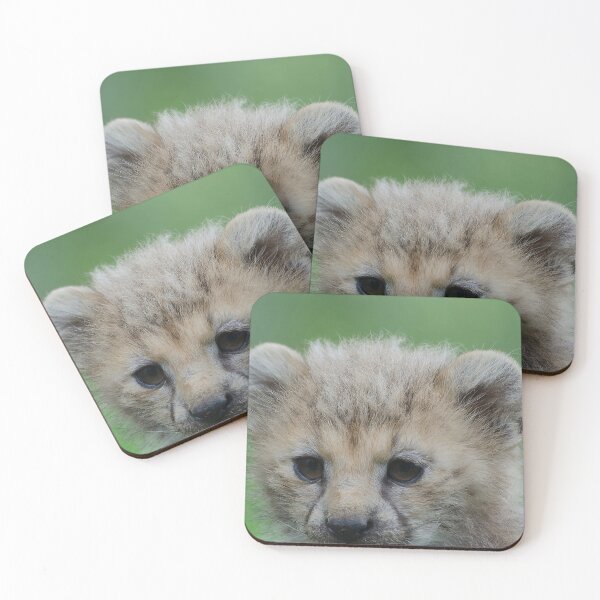 Item preview, Cheetah Cub designed and sold by Darren Wilkes.