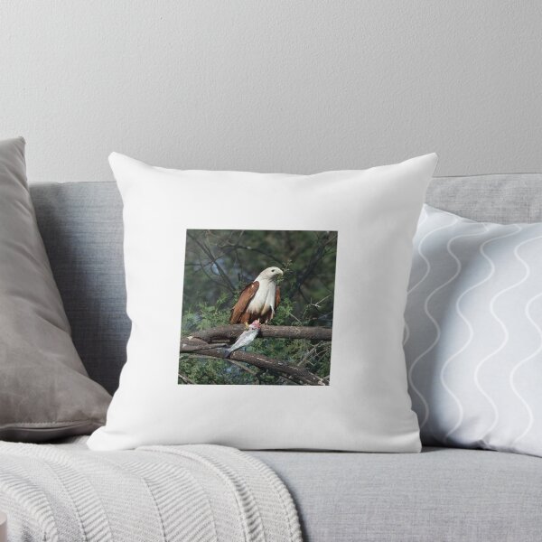 Item preview, Brahminy Kite designed and sold by lm31.