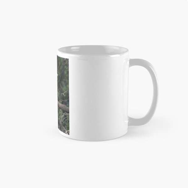 Item preview, Brahminy Kite designed and sold by lm31.