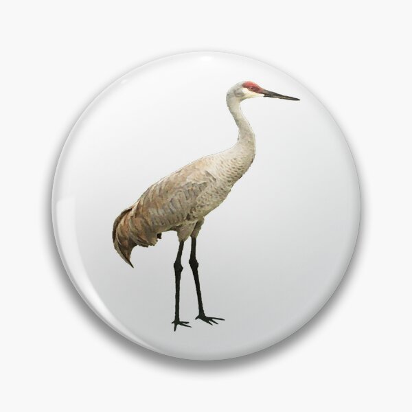 Item preview, Vista View Sandhill Crane on white designed and sold by VistaViews.