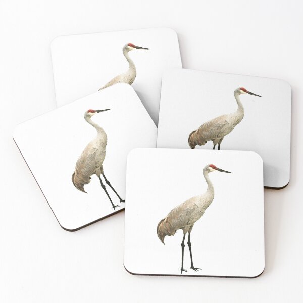 Item preview, Vista View Sandhill Crane on white designed and sold by VistaViews.